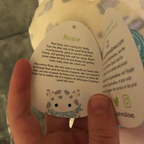 Squishmallow Rosie - Picture 3 of 5
